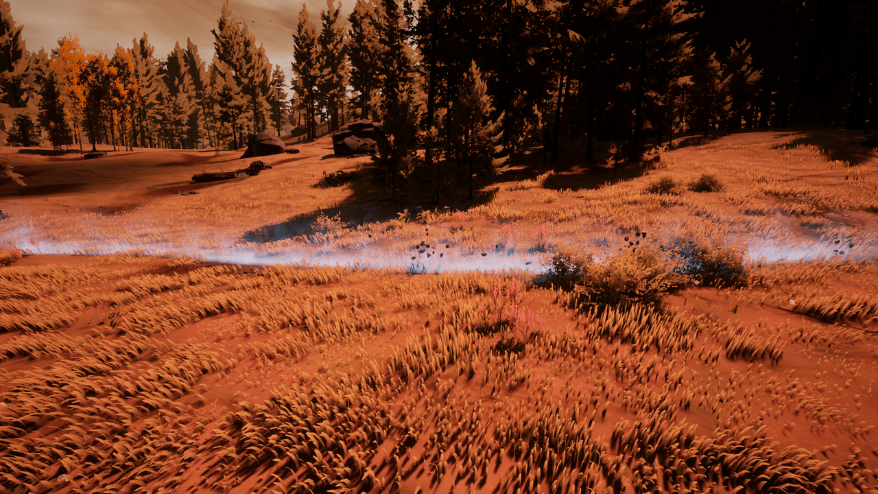 An Airstrip Anomaly, a long thin glowing blue wall in the grass.