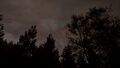 Thumbnail for version as of 03:21, 21 December 2024