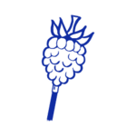 The Raspberry