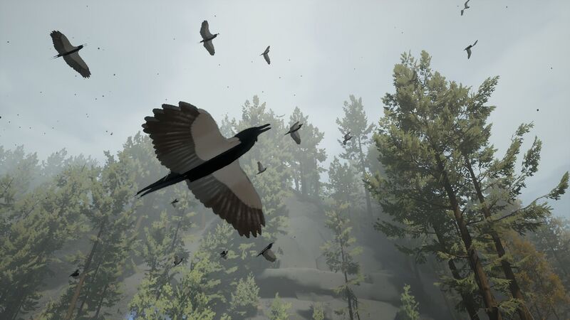 File:Birds-Anomaly.jpg