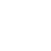 Lab Computer