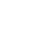 Logbook icon for the Smashed status effect