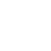 The Car