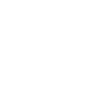 Anchor Plug