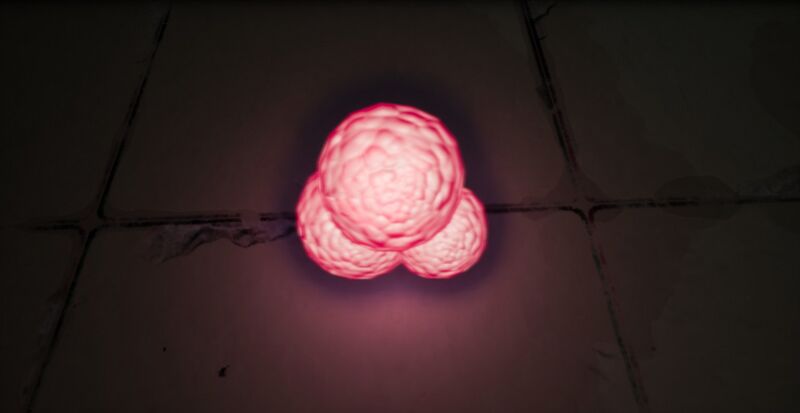File:Marsh Egg.jpg