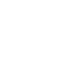 Logbook icon for the Shorted status effect