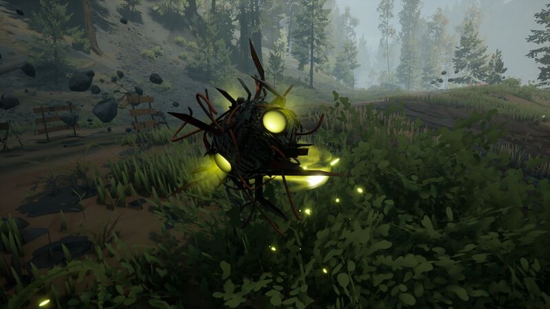 File:Dust Bunny.jpg